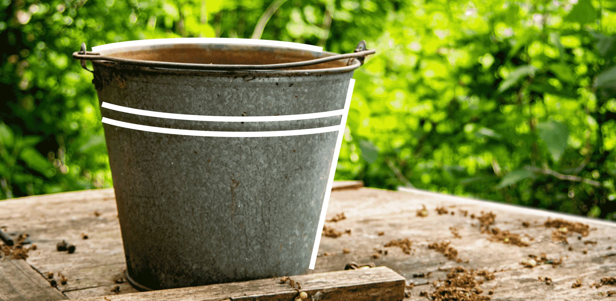 Куда обращаться, если соседи нарушают санитарные нормы